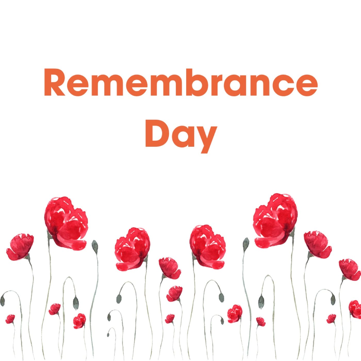 Remembrance Day tribute